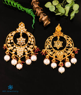 The Chitraksh Silver Necklace & Earrings